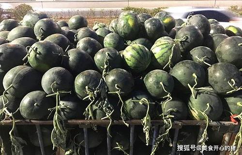 小麦子吃瓜,一场田园美食之旅