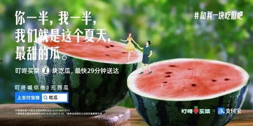 硬气的吃瓜文案,揭秘娱乐圈背后的真相