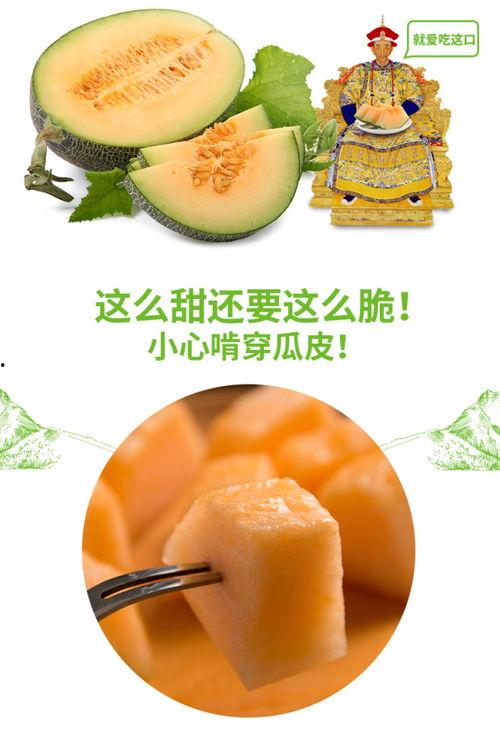 挑战吃蜜瓜,甜蜜挑战,味蕾盛宴