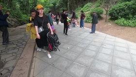 黔灵山猴子吃瓜,共享夏日清凉时光