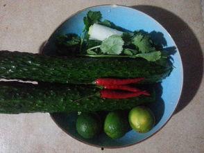 吃瓜酸酸,揭秘吃瓜酸酸的独特魅力