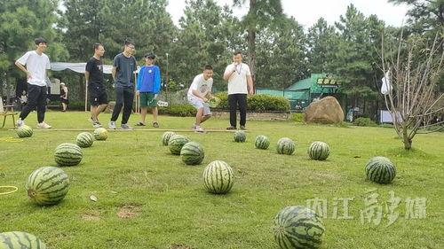吃瓜景区,揭秘瓜果飘香背后的旅游奇观