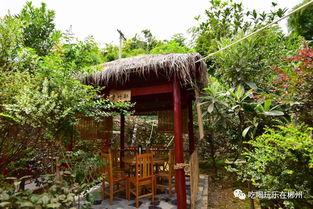 西河公园吃瓜,畅享清凉时光