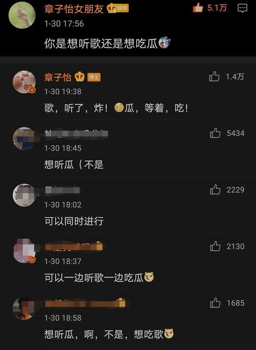 吃瓜歌名,揭秘娱乐圈幕后风云