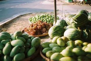 吃瓜群众吃全瓜是真的吗,真相与谣言的较量