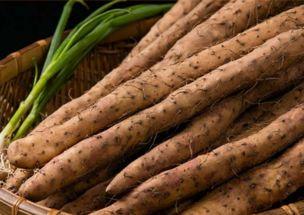 吃蜜瓜舌头麻麻的,舌尖上的麻麻体验揭秘