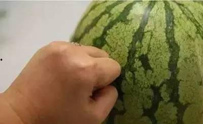 吃不熟的人的瓜,背后故事与启示