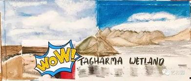 朝阳吃瓜群众2046