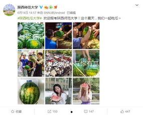 陕西吃瓜大学介绍,探寻美食与学术的完美融合