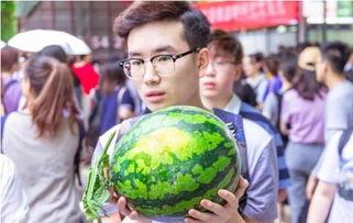 吃瓜学校全集,揭秘校园风云录