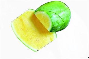 夜 速度吃瓜,速度吃瓜，揭秘娱乐圈最新热点