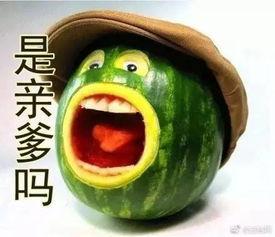 低频吃瓜脑子吃出泡了,揭秘“脑子吃出泡”的神奇现象