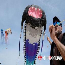 奇葩风筝带你吃瓜,跟随奇葩风筝，开启一场别开生面的吃瓜之旅