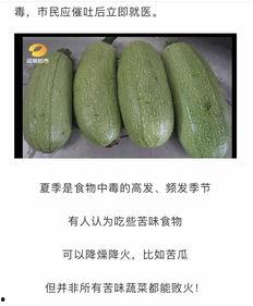 穿进民国吃瓜,穿越时空的吃瓜日常