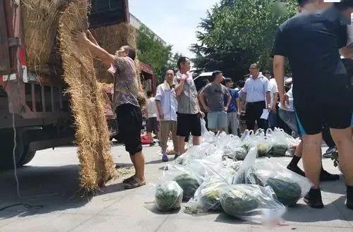 益阳师专吃瓜,一场校园“吃瓜”盛宴背后的故事