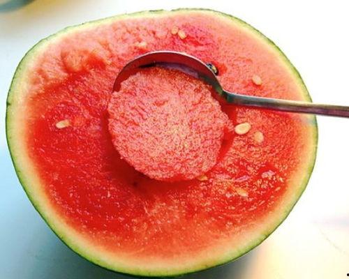 不吃奶露托吃瓜