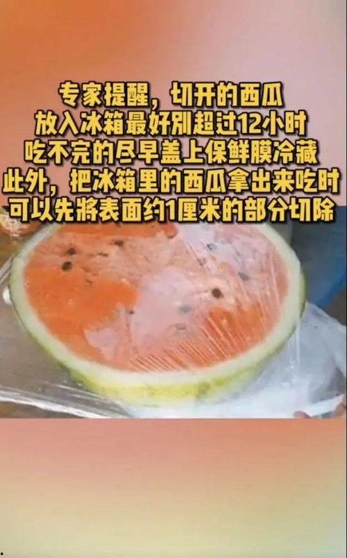 吃瓜恶心解剖