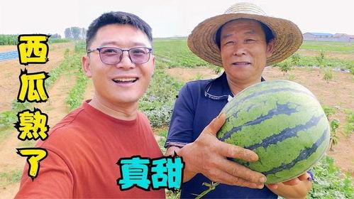 刘大瓜吃虫子,勇敢吃虫子，展现无畏精神