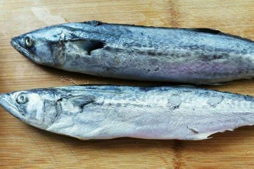 鲅鱼能和哈密瓜一起吃吗,健康搭配的饮食新选择