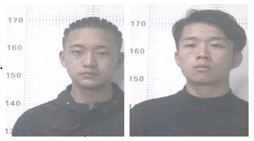 吃瓜拘留所,一场意外的法律教育之旅