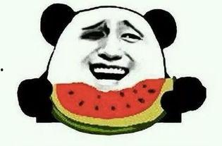 吃瓜爆料手受伤视频,视频揭秘幕后真相