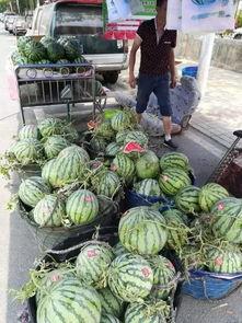 微山两城吃瓜事件